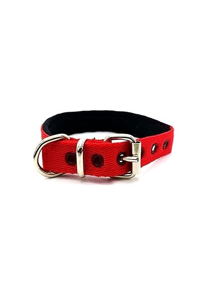 Mizgin Küçük Irk ve Yavru Yumuşak Dokulu Köpek Tasması (Kırmızı)