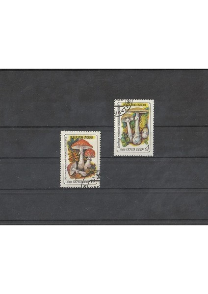 39963682A45C677BB5 1986 Damgalı Bitki Temalı Cccp Pulları