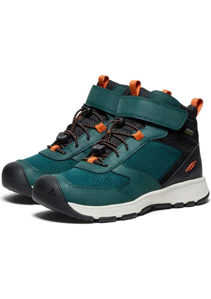 Skua Mid Wp Çocuk Bot