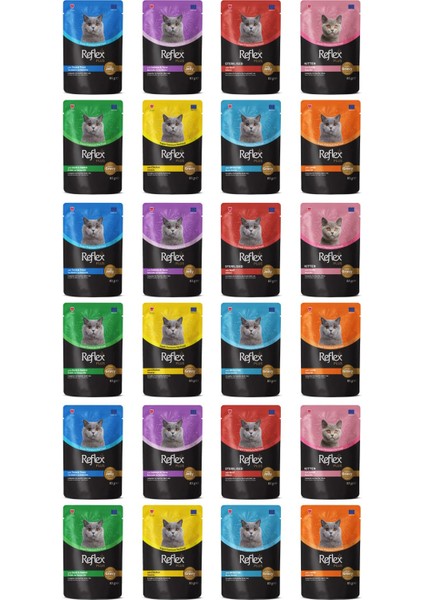 Karışık Soslu Kedi Yaş Maması Kedi Pouch 85 gr x 24 Adet