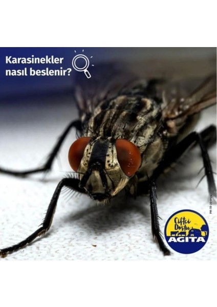 Agita 10 Wg Karasinek Kovucu Sineksavar