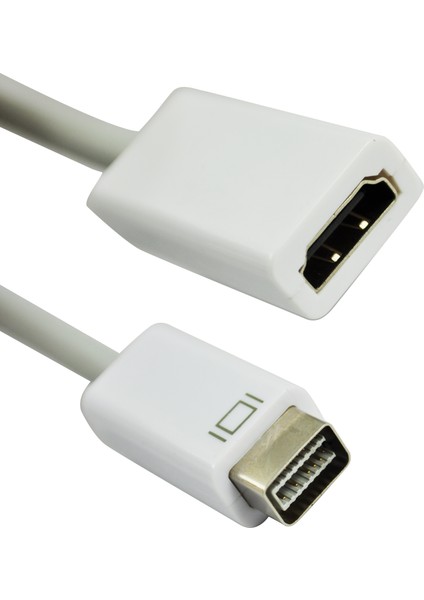 Mini DVI Erkek - HDMI Dişi Video Adaptör Kablosu Ad-Mdvı-Hdmı (Yurt Dışından)