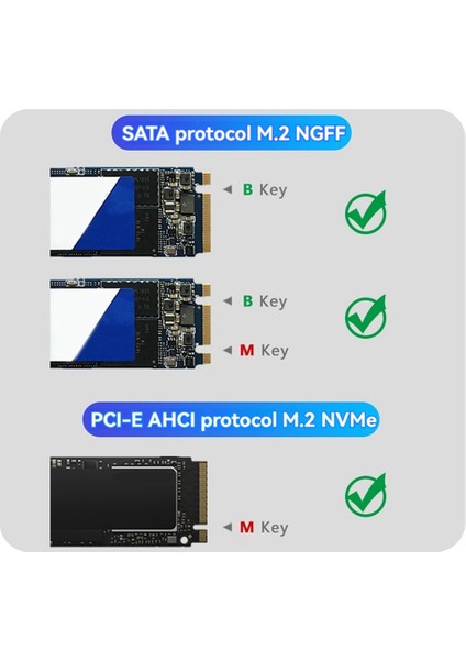 M.2 - Type-C SSD Muhafaza Adaptörü Nvme Ngff HDD Muhafaza Ara Kartı 20GBPS Desteği 2230 2242 2260 2280 Boyut SSD (Yurt Dışından) fırsatları
