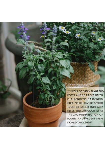 12 Adet Yeşil Bitki Destek Kazığı, 40 Cm/ 15,9 Inç Tek Saplı Bitki Desteği ve 20 Adet Yeşil Phalaenopsis Klipsi (Yurt Dışından) fiyatları