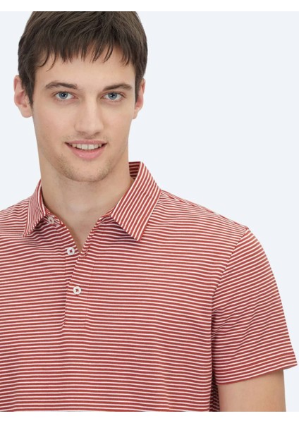 Kiremit Polo Yaka %100 Pamuk T-Shirt fiyatları