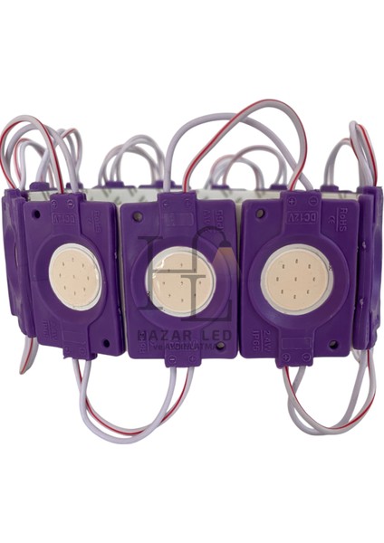 12 Volt 2.4 Watt Tekli Su Geçirmez Modül LED Mor (10 Adet)