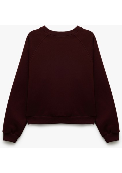Üç Iplik Şardonlu Dikiş Detaylı Bisiklet Yaka Oversize Sweatshirt fırsatları