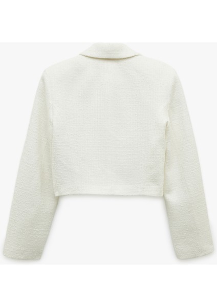 Kruvaze Uzun Kollu Tüvit Crop Blazer Ceket fırsatları