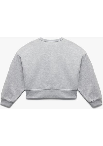 Üç Iplik Şardonlu Uzun Kollu Bisiklet Yaka Nakışlı Crop Sweatshirt fiyatları