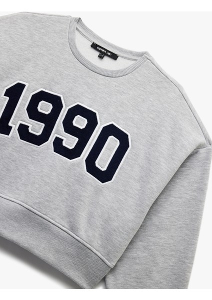 Üç Iplik Şardonlu Uzun Kollu Bisiklet Yaka Nakışlı Crop Sweatshirt modelleri