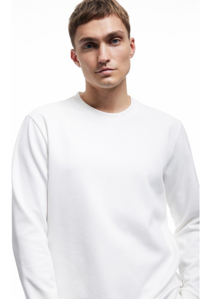 Uzun Kollu Bisiklet Yaka Basic Sweatshirt fiyatları