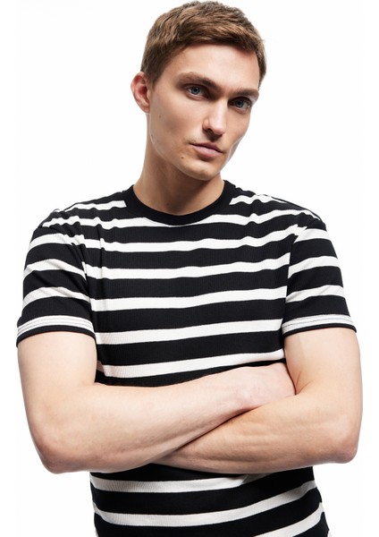 Kısa Kollu Bisiklet Yaka Slim Fit Çizgili Tişört