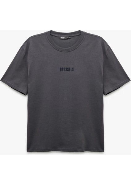 Pamuklu Kısa Kollu Regular Fit Bisiklet Yaka Baskılı Tişört modelleri