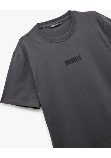 Pamuklu Kısa Kollu Regular Fit Bisiklet Yaka Baskılı Tişört indirimleri