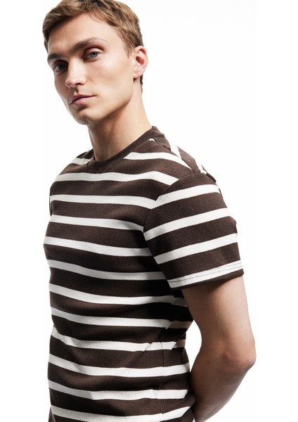 Kısa Kollu Bisiklet Yaka Slim Fit Çizgili Tişört