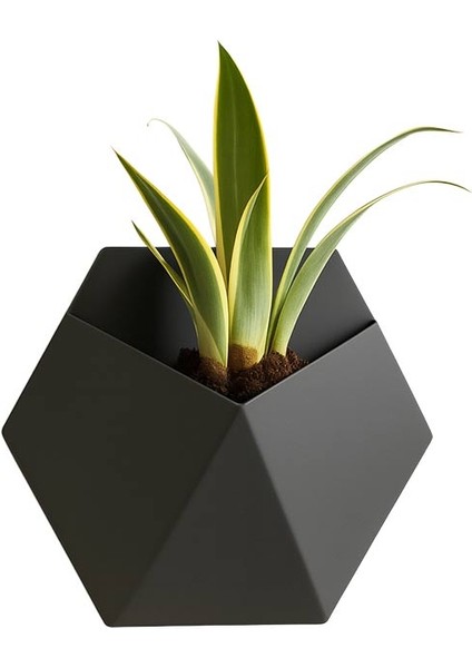 Modern Altıgen Duvar Saksısı