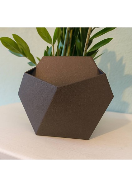 Modern Altıgen Duvar Saksısı fiyatları