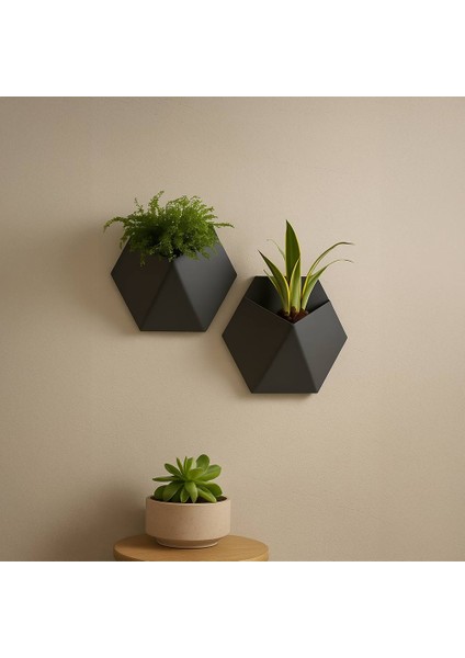 Modern Altıgen Duvar Saksısı modelleri
