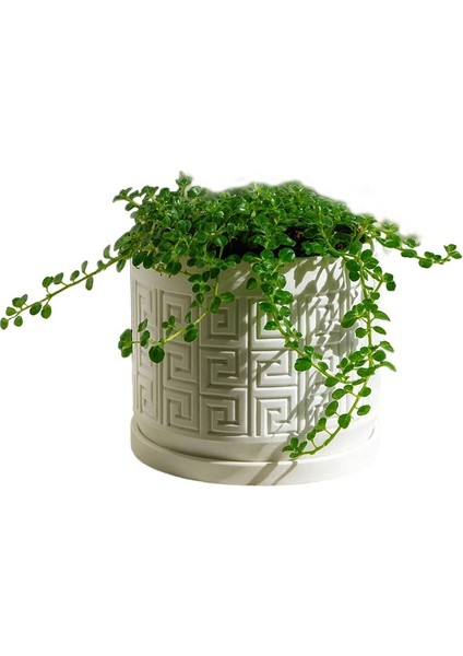 Aztek Desenli Modern Saksı fiyatları
