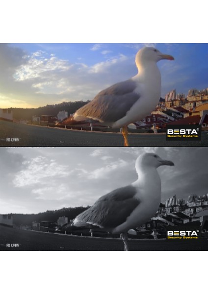 5 Mp Lens 2mp 1080P Full Hd Iç Mekan Dome Güvenlik Kamera Seti 320 GB HDD Dahil - ST24320K