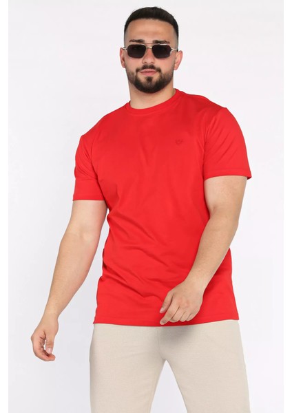 Bisiklet Yaka Nakışlı Erkek Tişört P-00017377