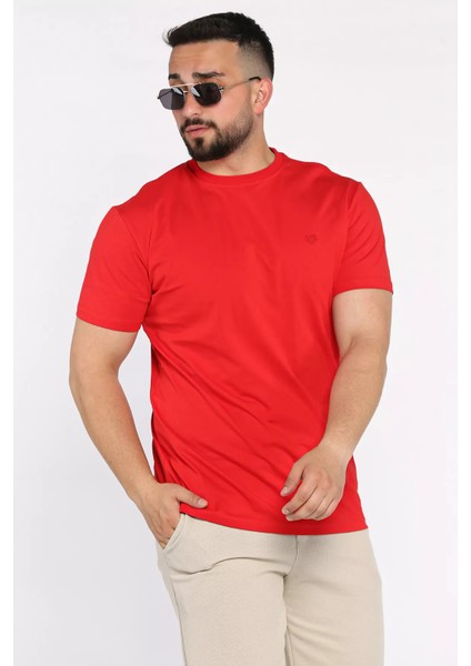 Bisiklet Yaka Nakışlı Erkek Tişört P-00017377 fiyatları