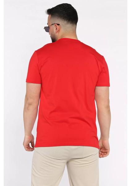 Bisiklet Yaka Nakışlı Erkek Tişört P-00017377 modelleri