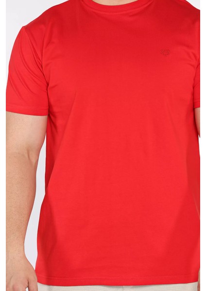 Bisiklet Yaka Nakışlı Erkek Tişört P-00017377 fırsatları