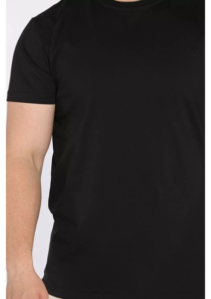 Bisiklet Yaka Nakışlı Erkek Tişört P-00017377 fırsatları