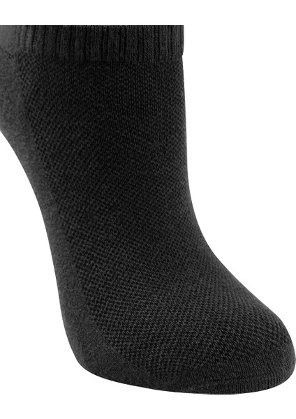 3 Lü Paket Erkek Çorabı - Siyah/Beyaz/Lacivert fiyatları