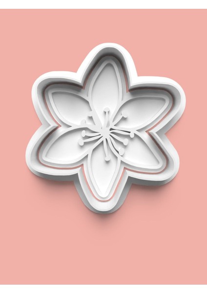 Çiçek Teması Kurabiye Kalıbı ve Şeker Hamuru Kalıbı 4'lü Set indirimleri