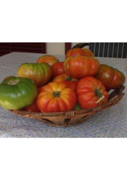Yayla Domatesi Tohumu 10 Adet Ekim Seti indirimleri