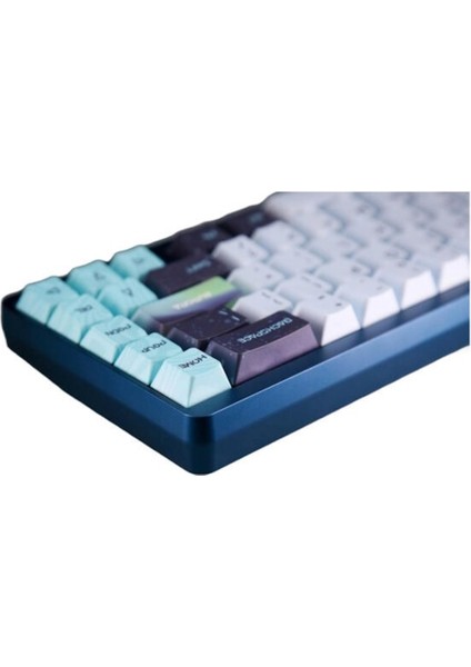 Muse65 HE Aurora %65 TTC King of Magnetic RGB Manyetik Switch 8K Hz Hall Effect Hotswap Mekanik Gaming Klavye fiyatları