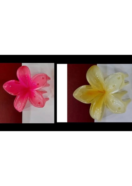 Lotus Toka 4cm Küçük Boy Metal Sert Plastik 1. Sınıf Malzeme 2'li Fuşya Sarı Standart Aloha