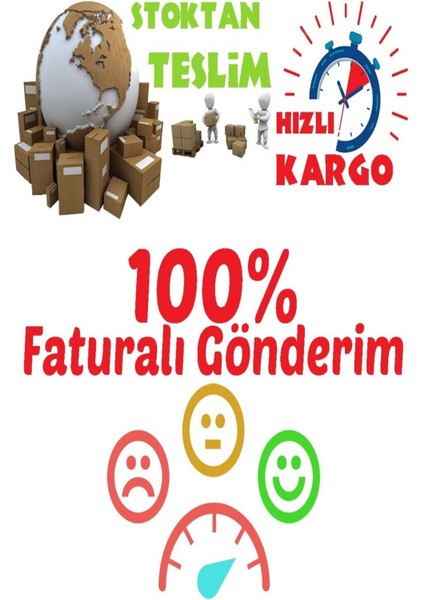 Avantajlı Tüplü Yediveren Uludağ Esintisi Yoğun Kokulu Gül Fidanı