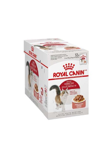 Instınctıve Pounch