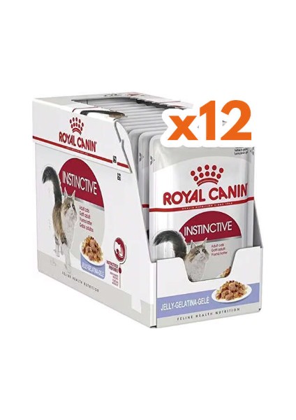 Instınctıve Pounch fiyatları