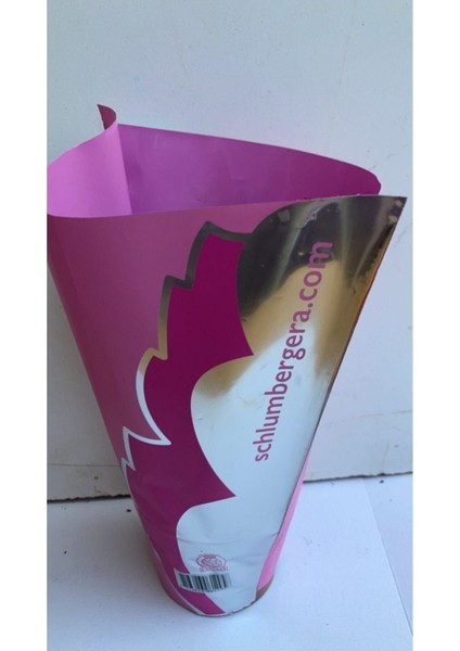 Kampanyalı Ithal Yılbaşı Çiçeği fiyatları