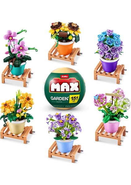 Max Saksı Bitkileri Sürprizi