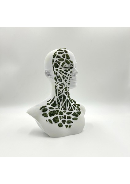 Doğal Yosunlu 3D Baskı Büst Heykel | Geometrik Detaylı Biophilic Sanat | Bakım Gerektirmeyen Modern Dekor (22X24 Cm) indirimleri