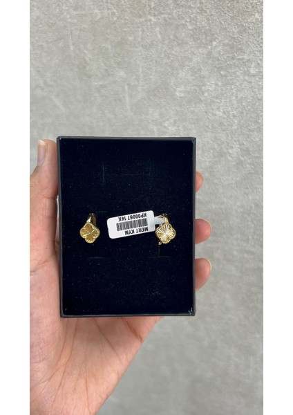 Yonca Altın Küpe fiyatları