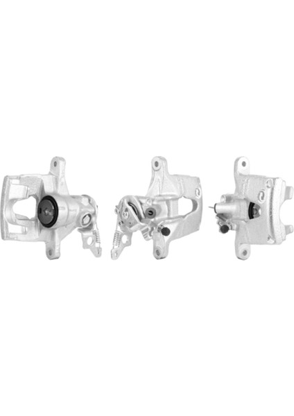 31 4175-100 Piston Segman Scenic Megane Iı 1.5dcı Clıo 100HP K9K