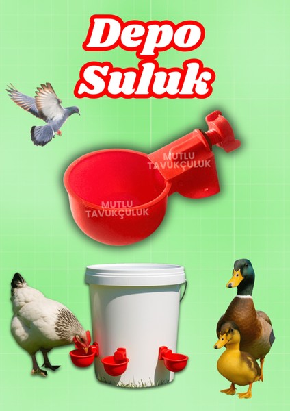 Otomatik Tavuk Depo Suluğu Plastik Suluk Güvercin Bıldırcın Kaz Ördek Civciv Tavuk Suluğu