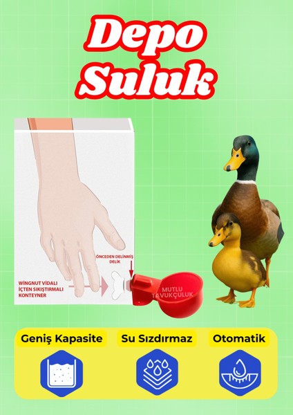 Otomatik Tavuk Depo Suluğu Plastik Suluk Güvercin Bıldırcın Kaz Ördek Civciv Tavuk Suluğu fırsatları