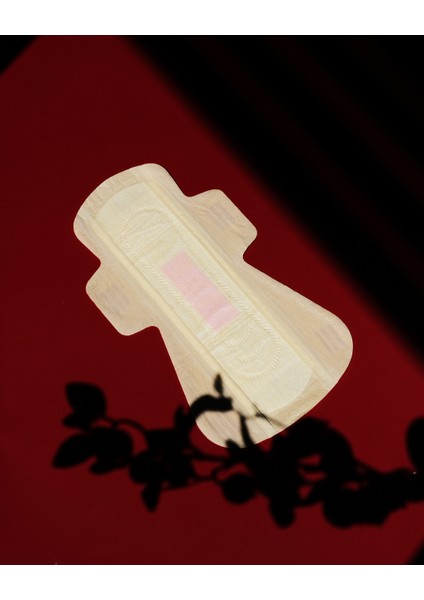 Nazlı Ped Paketi 20 Adet Süper ve 20 Adet Süper+ fiyatları