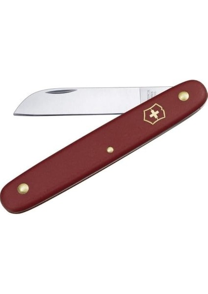 Aşı Çakısı fiyatları