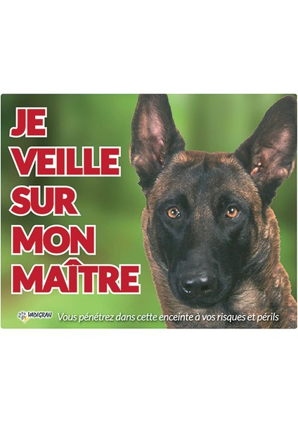 Vadigran Malinois Köpek Fotoğraf Tabelası