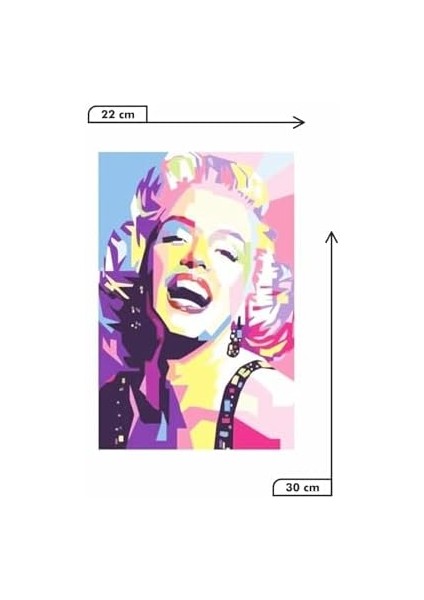 Kuşe Kağıt Duvar Posteri Retro Vintage DRTR0068 fiyatları