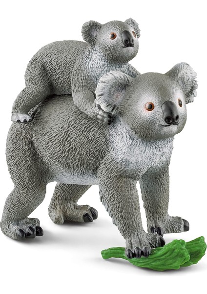 Koala Anne Bebek