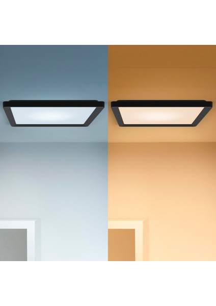 Siyah Akıllı Sıva Üstü Rgb Kare Panel Tavan Armatürü 12W